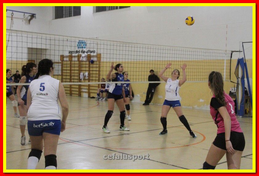 140305 Primula 153_tn.jpg